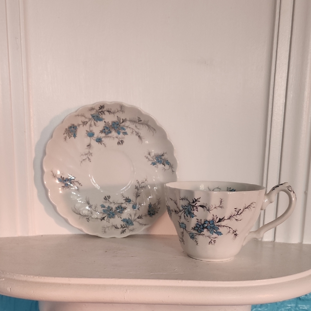 Myotts China Lyke Ware Cup and Saucer Sound of Music, China England